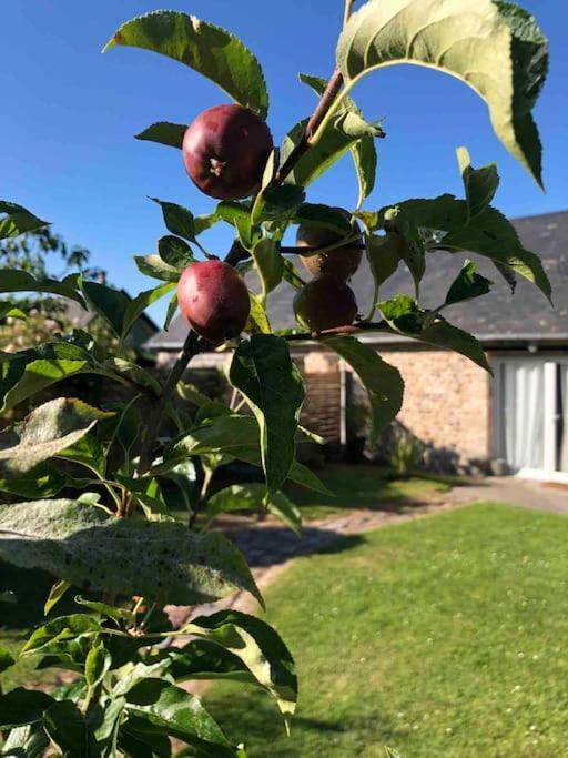 Le Gite D'Eva Honfleur Eksteriør bilde
